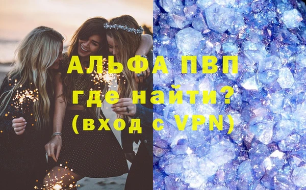 стаф Володарск