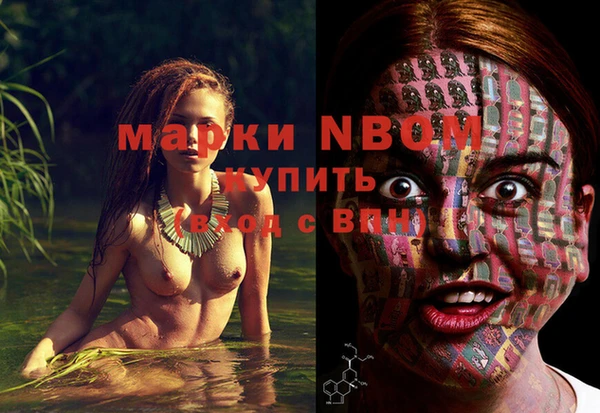 стаф Володарск
