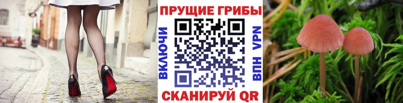 Псилоцибиновые грибы мицелий  Ужур 